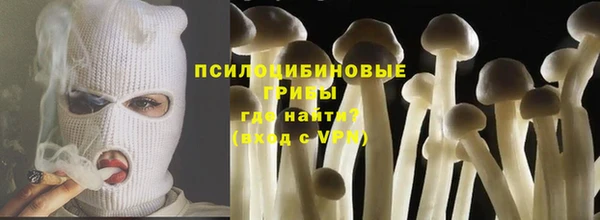 гидра Аркадак